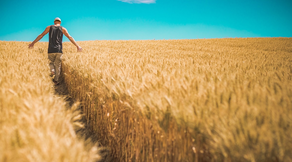 ismea, banca delle terre agricole, agevolazioni giovani coltivatori, agricoltura, coltivatori diretti, giovanni benaglia, bandi finanziamento