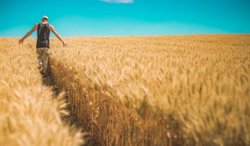 ismea, banca delle terre agricole, agevolazioni giovani coltivatori, agricoltura, coltivatori diretti, giovanni benaglia, bandi finanziamento